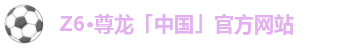 Z6·尊龙